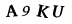 captcha-code